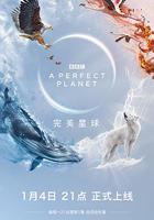 完美星球 / A Perfect Planet 線上看