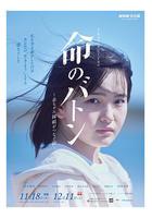 生命的接力棒 / 命のバトン ～赤ちゃん縁組がつなぐ絆～ 線上看
