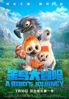 笨鳥大冒險 線上看