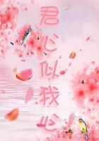 君心似我心 線上看