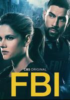 聯邦調查局 第四季 / FBI Season 4 線上看