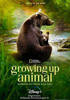 動物成長 / Growing Up Animal 線上看