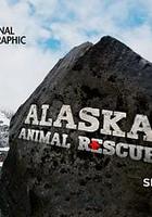 阿拉斯加野生動物救援 第二季 線上看
