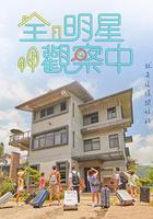 全明星觀察中 線上看