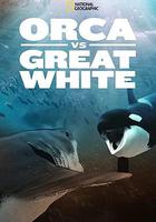 虎鯨對上大白鯊 / Orca vs. Great White 線上看