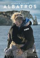 信天翁 / Albatros 線上看