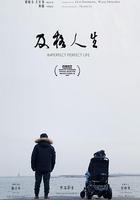 及格人生 線上看