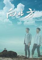 向北方 線上看