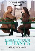 蒂芙尼的禮物 / Something from Tiffany's 線上看