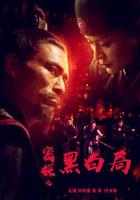 密探之黑白局 線上看