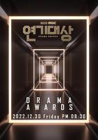 2022 MBC 演技大賞 / 2022 MBC 연기대상 線上看