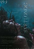 夜間女妖 線上看