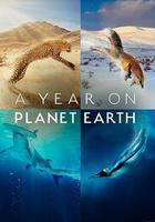 地球上的一年 / A Year on Planet Earth 線上看