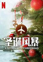 聖誕風暴 線上看