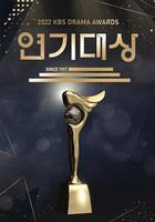 2022 KBS 演技大賞 線上看