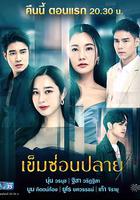 芒刺在心 / เข็มซ่อนปลาย 線上看