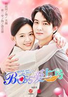 Boss愛上鳥 線上看