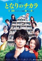 隔壁的力 / となりのチカラ 線上看