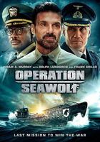 海狼行動 / Operation Seawolf 線上看