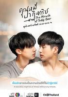 奇跡熊先生 線上看