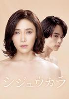 40歲開始 / シジュウカラ 線上看