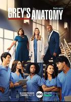 實習醫生格蕾 第十九季 / Grey’s Anatomy Season 19 線上看