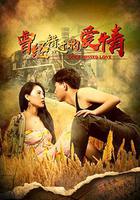 曾經錯過的愛情 線上看