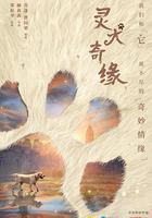 靈犬奇緣 線上看