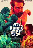 南方懸案 / Oru Thekkan Thallu Case 線上看