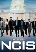 海軍罪案調查處 第二十季 / NCIS: Naval Criminal Investigative Service Season 20 線上看