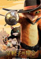 穿靴子的貓2 / Puss in Boots: The Last Wish 線上看