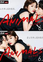 ANIMALS‐アニマルズ‐ 線上看