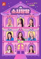 少時貪探 / 소시탐탐 線上看