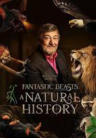 神奇動物：一段自然歷史 / Fantastic Beasts: A Natural History 線上看