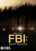 聯邦調查局：通緝要犯 第四季 / FBI: Most Wanted Season 4 線上看