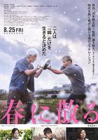 凋零在春天 / 春に散る 線上看