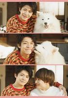 愛你汪汪 / すきすきワンワン！ 線上看