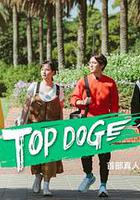 TOP DOG 線上看