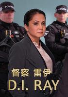 督察雷伊 第二季 / DI Ray Season 2 線上看