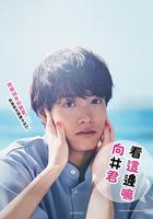 往這邊看 向井君 / こっち向いてよ向井くん 線上看