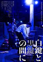 白鍵與黑鍵之間 線上看