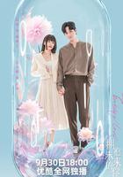 擁抱未來的你 線上看