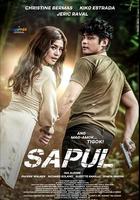 聯合懲治 / Sapul 線上看