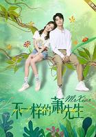 不一樣的蕭先生 線上看