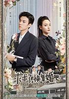 求求了，快復婚吧 線上看