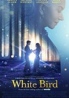 白鳥：奇跡 / White Bird 線上看