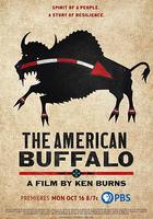 美國水牛 / The American Buffalo 線上看