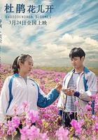 杜鵑花兒開 線上看