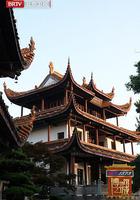 博物館之城·中華文明探源季 線上看