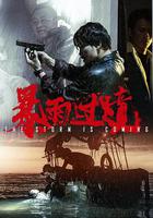 暴雨過境 線上看